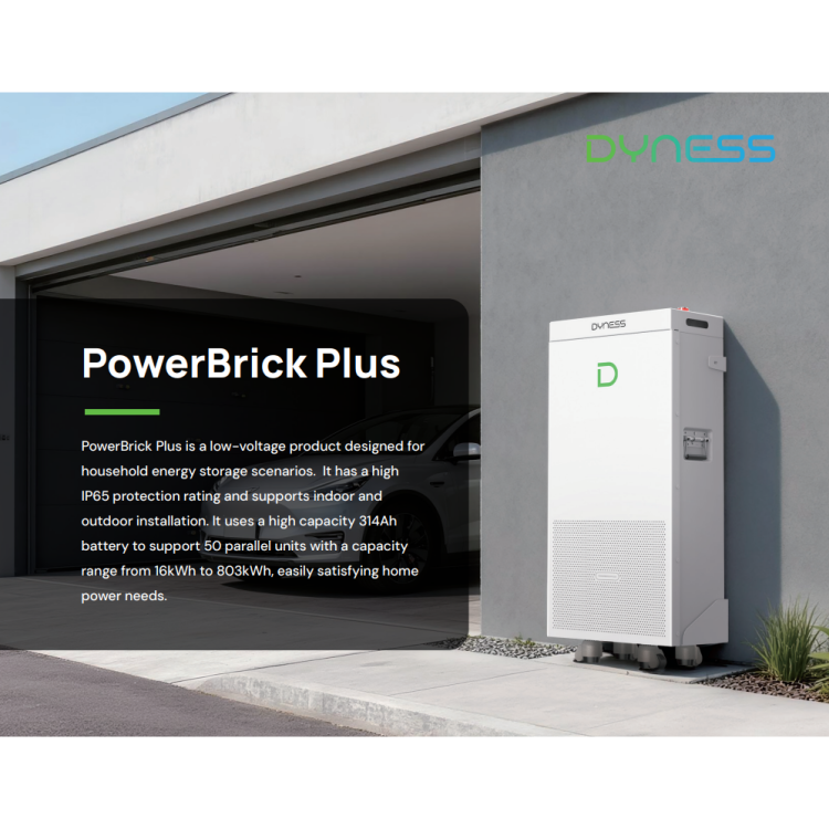 Акумуляторна батарея Dyness Powerbrick Plus (16,07 кВт*ч/ 51,2В LV) - Основні контакти 